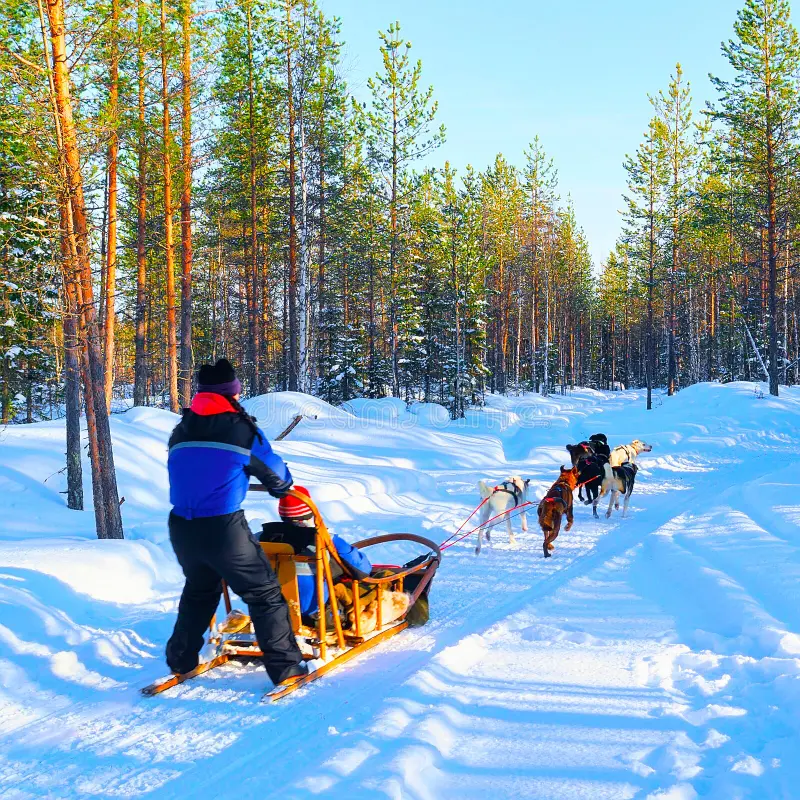 Finland Winter Adventure